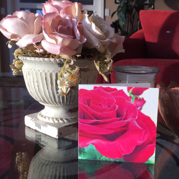 Red Rose Note Cards