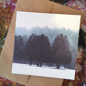 Winter Trees Note Cards