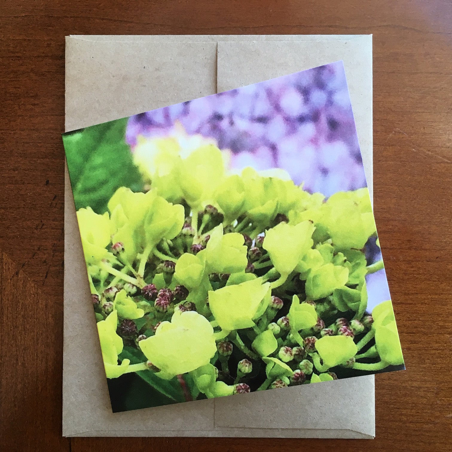 Summer Hydrangea Note Cards