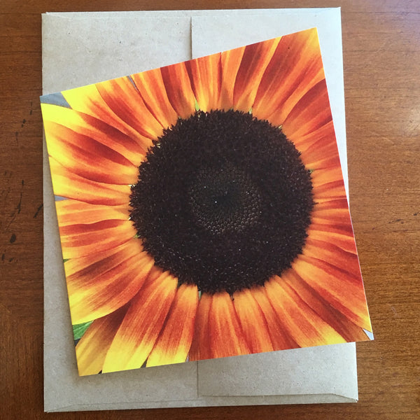 Summery Sunflower Note Cards